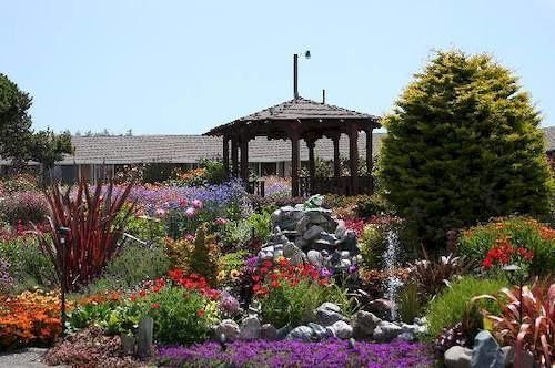Surf Motel And Gardens Φορτ Μπραγκ Εξωτερικό φωτογραφία