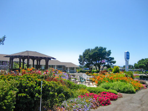 Surf Motel And Gardens Φορτ Μπραγκ Εξωτερικό φωτογραφία